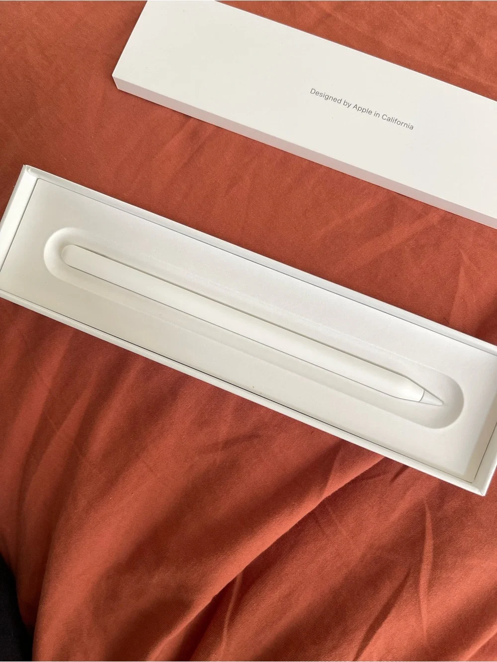 Apple stylus clean